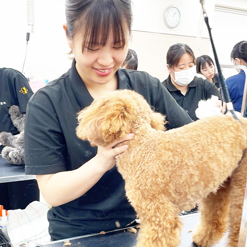 ☆スキルアッププログラム☆